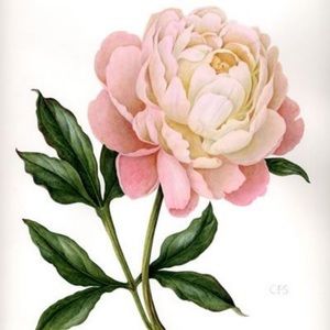 Meet your Posher, Pamela